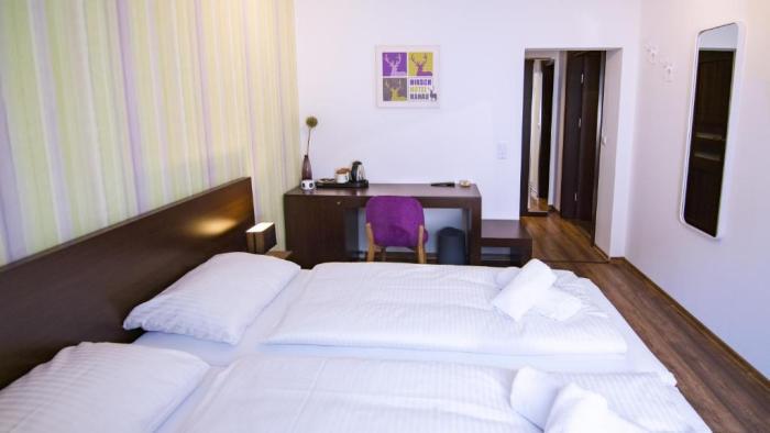 Hirsch Hotel Hanau Rom bilde